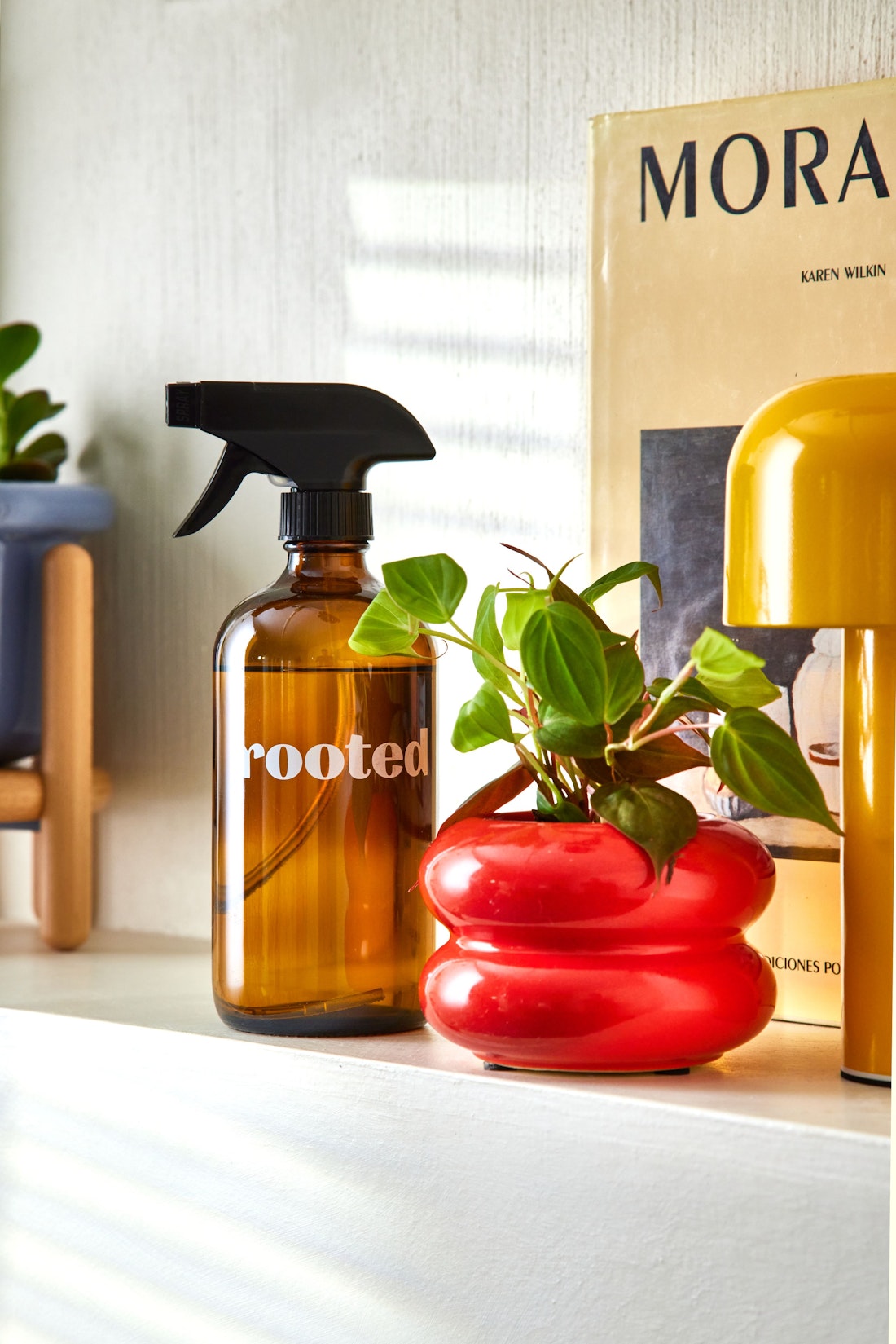 Rooted products styled on a sunlit shelf